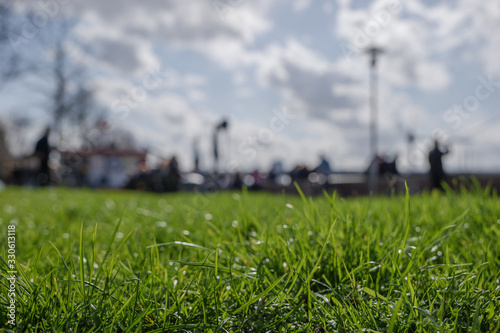Low angle, close up and macro view at grass field with blur background of people and overcast cloudy and sunny sky.