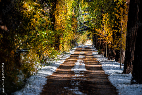 Aspen small town in Colorado USA with street road way treelined with autumn foliage trees and snow in city morning sunrise in Red Butte Cemetery © Kristina Blokhin