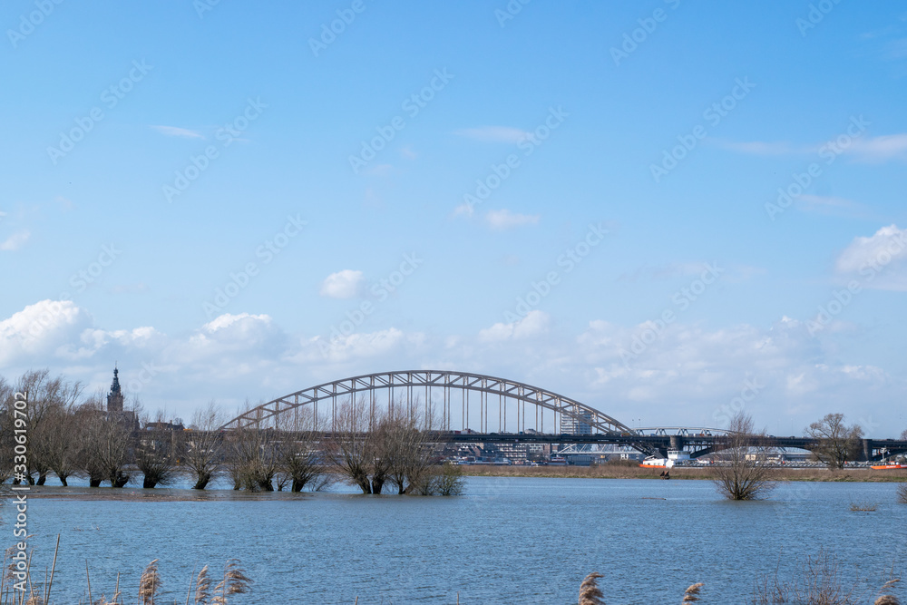 Naklejka premium Treees in flooded water in waal