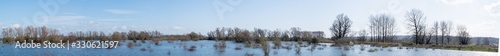 shrubs in water in the Ooijpolder