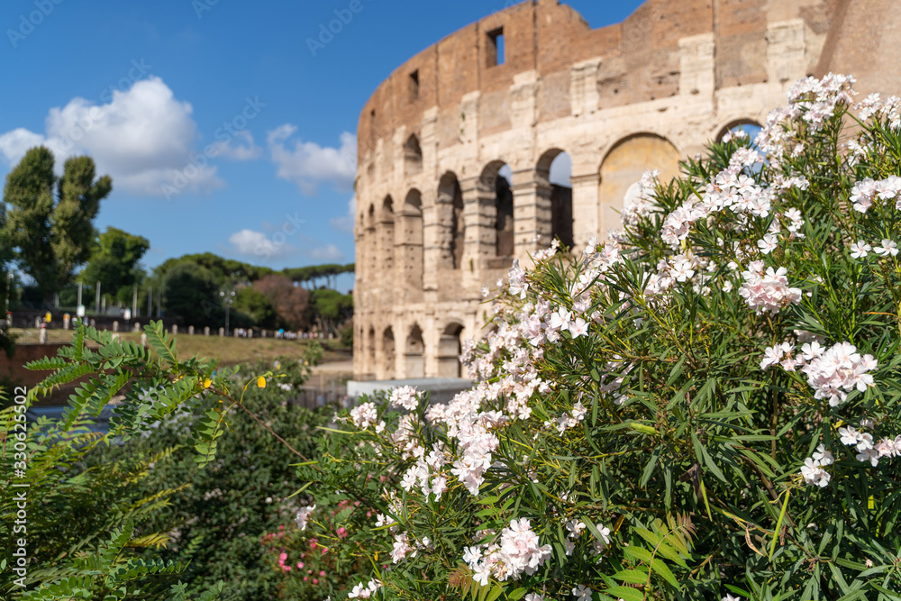 Colosseum in spring time, Rome, Italy