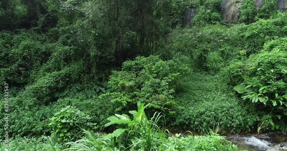 Drone aerial view of tropical small creek in rainforest of south of asia Drone aerial view of tropical small creek in rainforest of south of asia