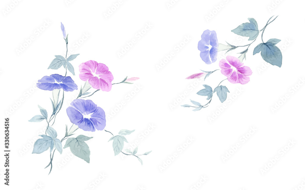 あさがおの水彩イラスト　セット