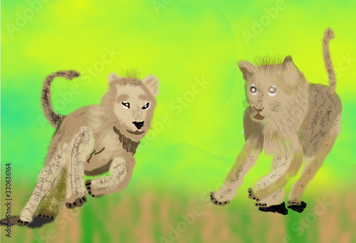 Pair of Lions in a Race