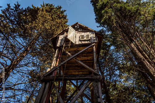 View from below of a typical wooden treehouse inside a forest in a sunny day © Andres Conema