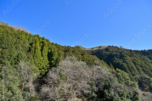 青空バックに冬枯れの山麓公園の情景
