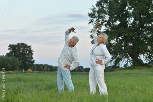 Portrait of fit senior couple exercising in park © aletia2011
