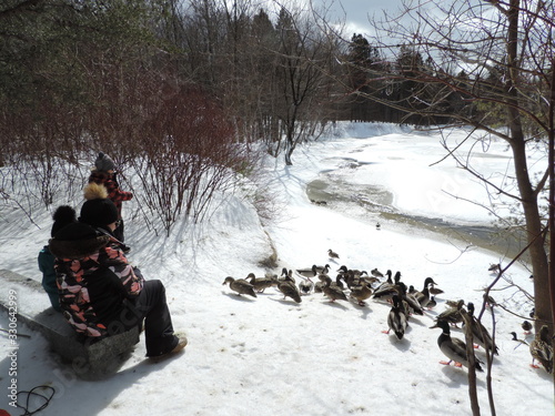 souvenir d'hiver à Québec no 4 photo