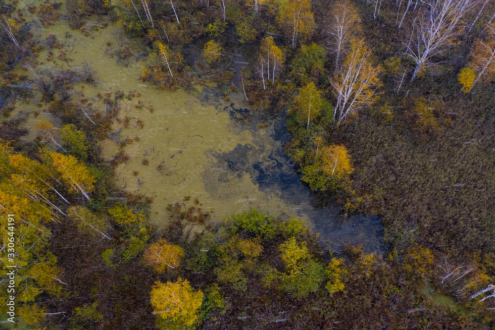 Nature and landscape: aerial view of forest and lakes, autumn leaves, foliage, greenery and trees in wilderness landscape