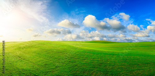 Fototapeta Naklejka Na Ścianę i Meble -  Green grass field and blue sky with white clouds,panoramic view.