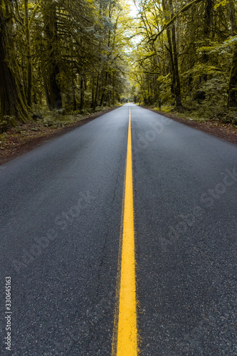 highway through ttrees