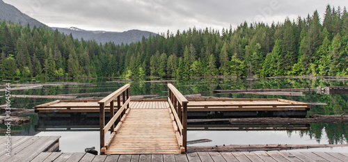 jetty on lake in trees