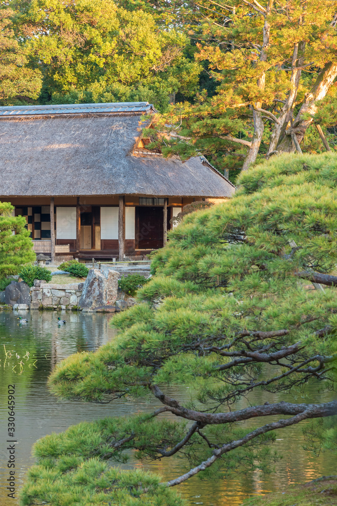 idyllic garden in Katsura, Arashiyama, Kyoto, Japan