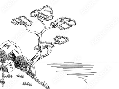 Pine tree sea coast graphic black white landscape sketch illustration vector