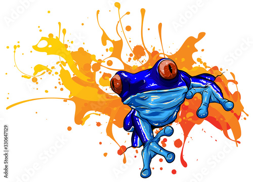 vector illustration tropical red eyed tree frog
