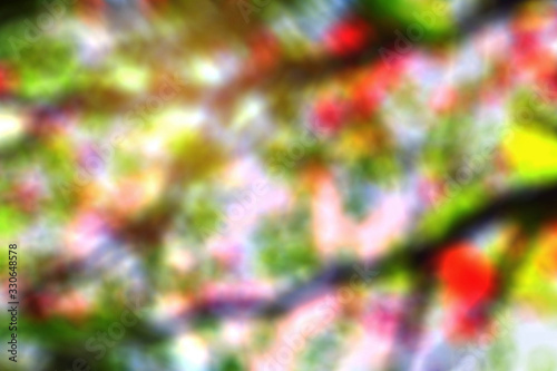 Blurry images of branches.