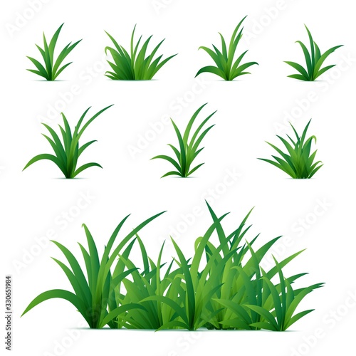 Realistic spring green grass isolated on white background. Vector nature elements for posters or advertisement. 