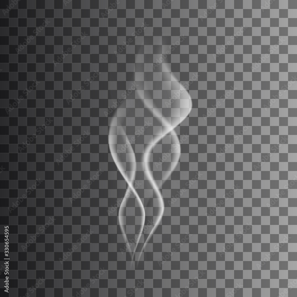 White transparent steam on dark background Vector Image