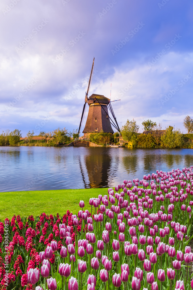 Windmills and flowers in Netherlands