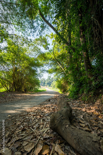 A beautiful view of village road from Kerala  India