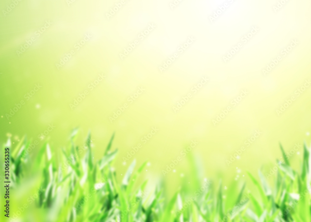 Abstract nature background with green grass