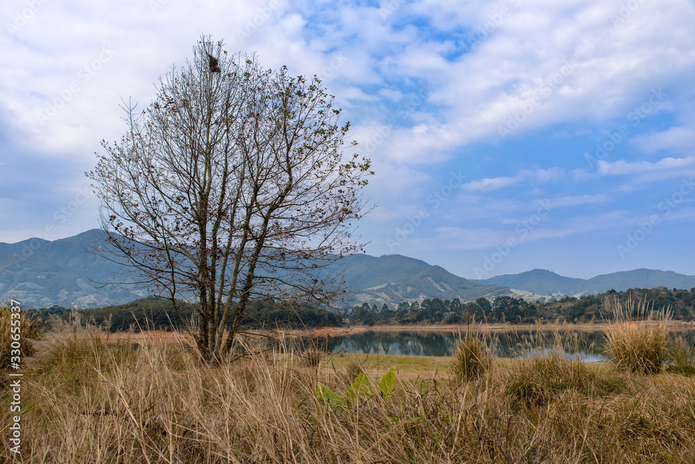 Fototapeta premium The reservoir under blue sky and white clouds and its ecological environment