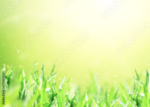 Abstract nature background with green grass