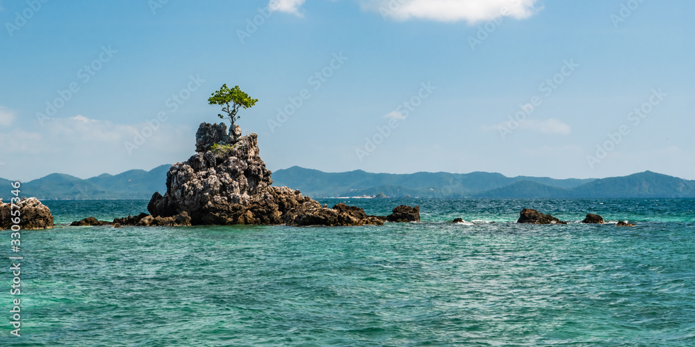 A small island with a lone tree