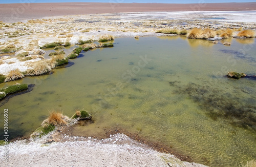 Little lake at the Salar de Arizaro at the Puna de Atacama, Argentina photo