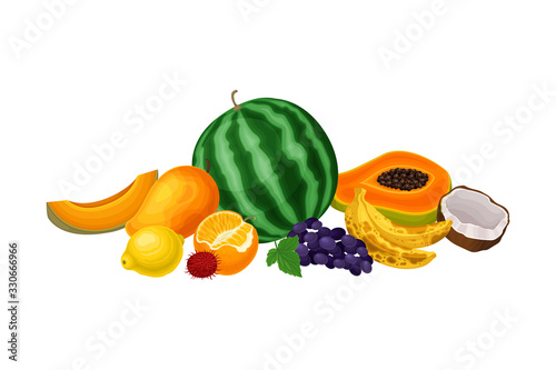 Fototapeta Naklejka Na Ścianę i Meble -  Exotic Fruits Composition with Watermelon and Papaya Vector Illustration