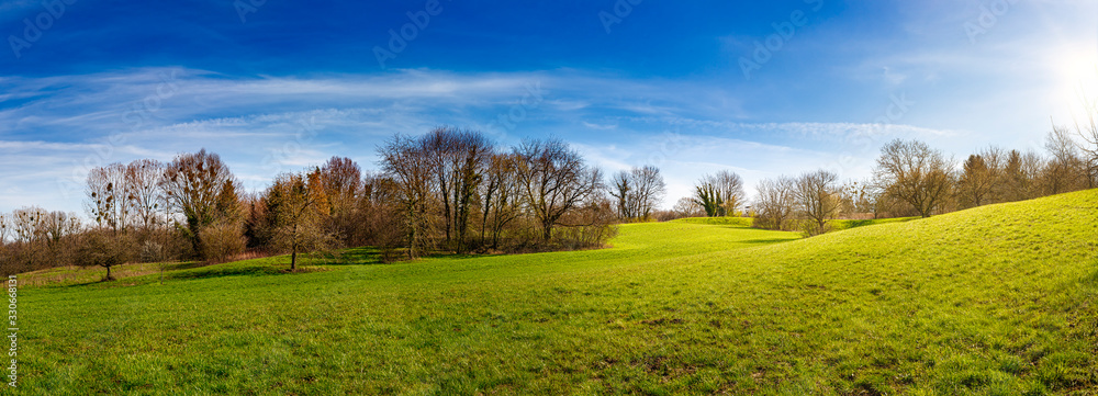 Wiese am Berg mit Obstbäume unter blauem Himmel Wiese am Berg mit Obstbäume unter blauem Himmel