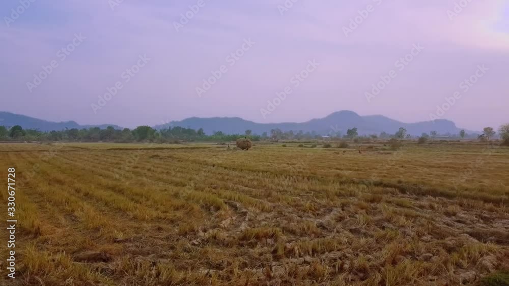 A couple farmers tend to a dry pasture with mountains silhouetted in the hazy background in Battambang, Cambodia. A couple farmers tend to a dry pasture with mountains silhouetted in the hazy background in Battambang, Cambodia.