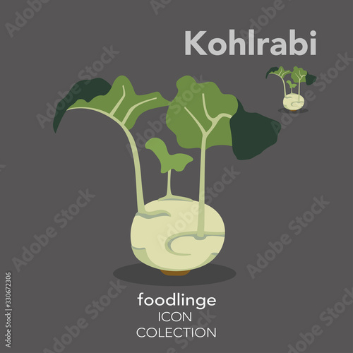 Colorful vegetable icon of illustrated Kohlrabi