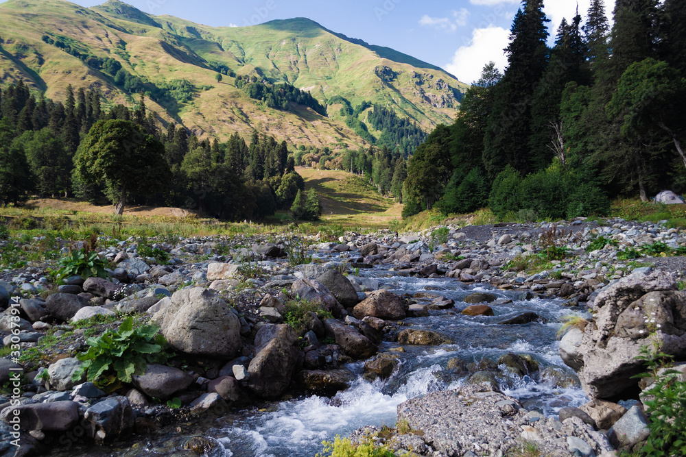 mountain river flows in the middle of a beautiful green valley mountain river flows in the middle of a beautiful green valley