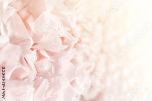 Soft focus decorative wall of pink flower petals close-up. Beautiful gently background with rays of daylight and copy space for wedding invitations, birthday cards. Spring mood, bright colors.