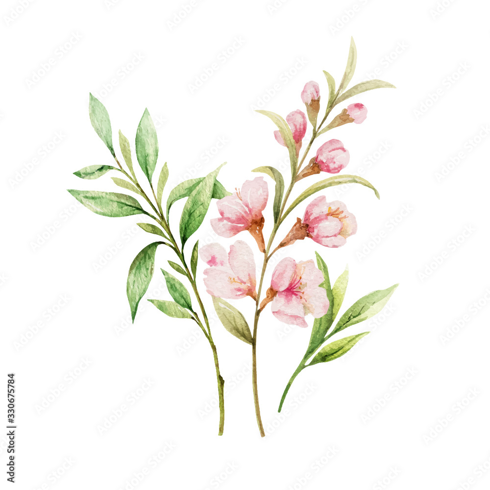 Watercolor vector bouquet of pink flowers and almond leaves.