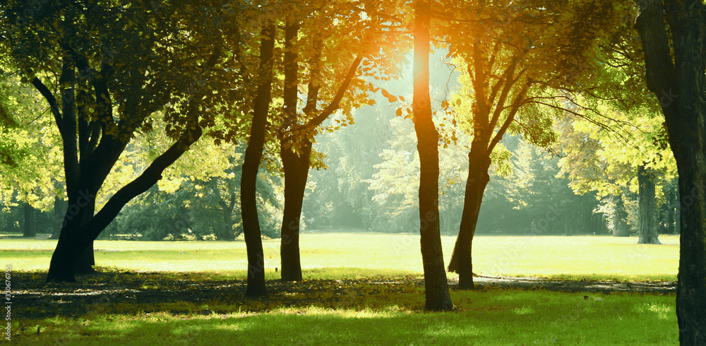Φωτογραφία Beautiful park with sunshine in autumn