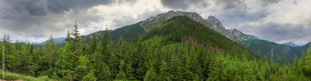 Fototapeta premium Rocky massif with forest on foreground against the cloudy sky