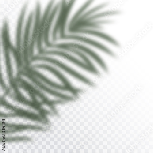 Transparent shadows of tropic Leaves. The shadow overlay effect. Background of tropical plants. Palm leaves, jungle leaf. The poster for sale and an advertizing sign. Vector illustration