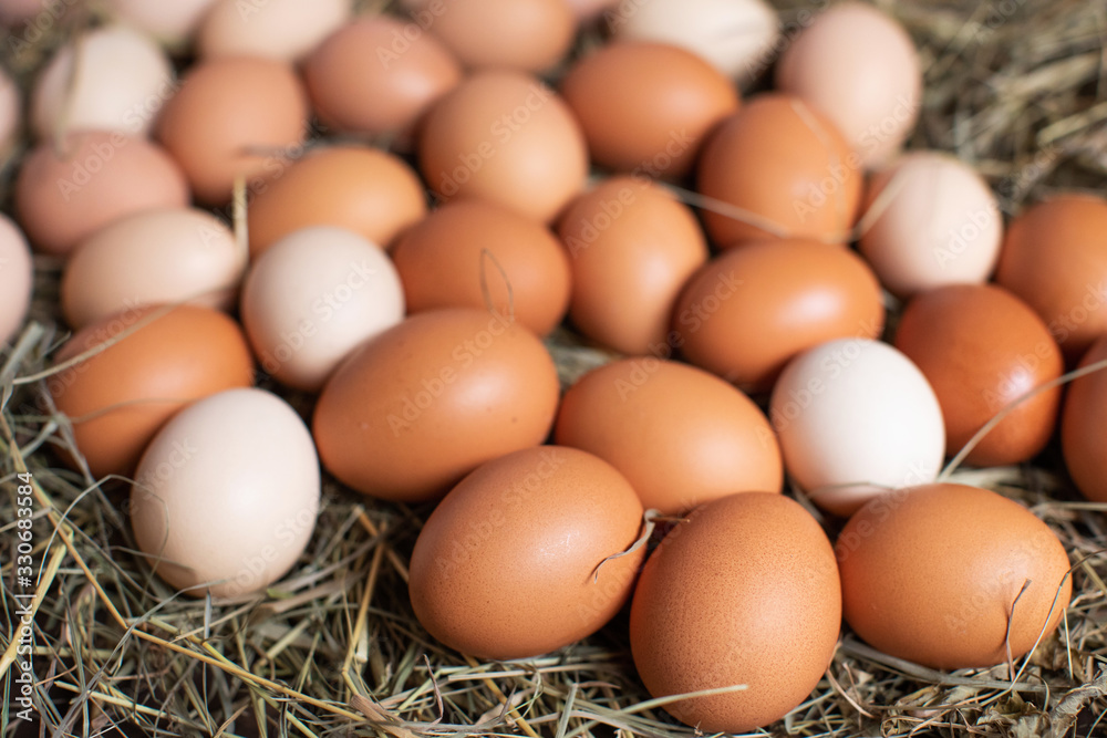 Healthy Organic Food. Chicken eggs in the nest Healthy Organic Food. Chicken eggs in the nest