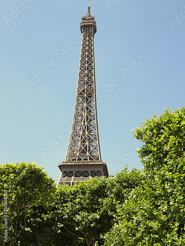 Eiffel Tower with Plants in Foreground