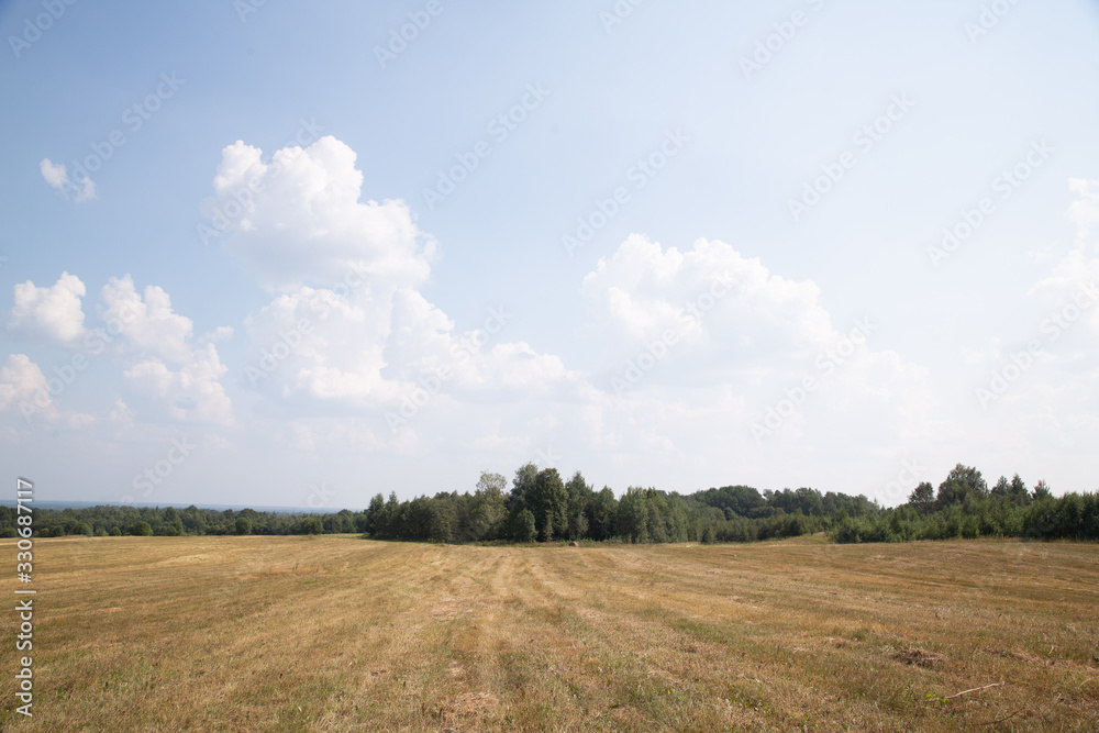 Endless field without a crop with sheaves of hay. Beautiful autumn landscape. The concept of harvesting, agriculture