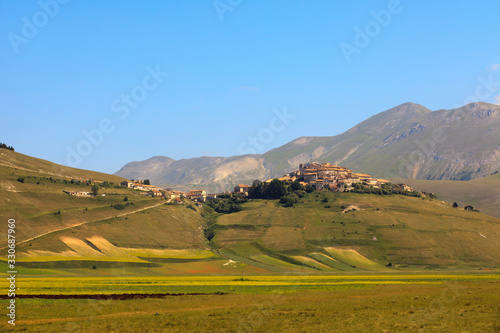 Norcia (PG), Italy - May 25, 2015: The famous spring flowering in the fields around Castelluccio di Norcia, Highland of Castelluccio di Norcia, Norcia, Umbria, Italy, Europe