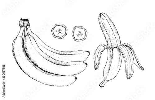 Hand drawn banana fruit isolated on white background.