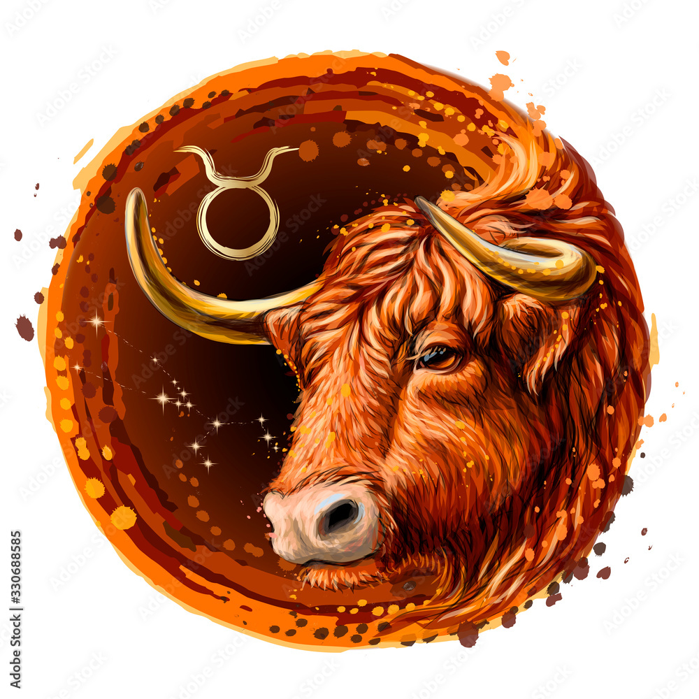 Taurus Sttle Vecteur Stock Taurus is a sign of the zodiac. Artistic, color, drawn ...