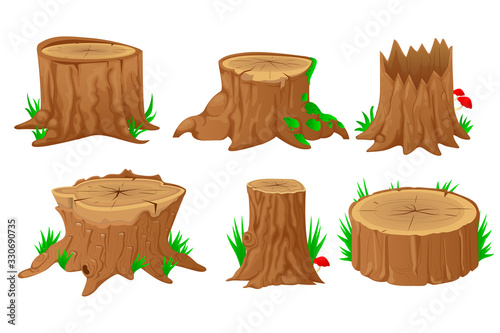 Collection of tree stumps