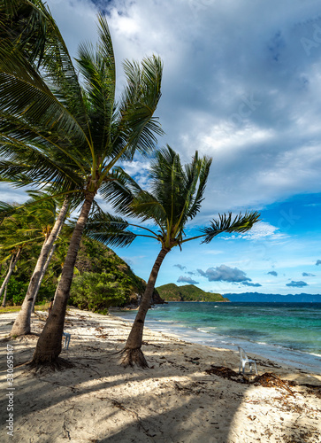 Fototapeta Naklejka Na Ścianę i Meble -  Banana island in Coron, Philippines
