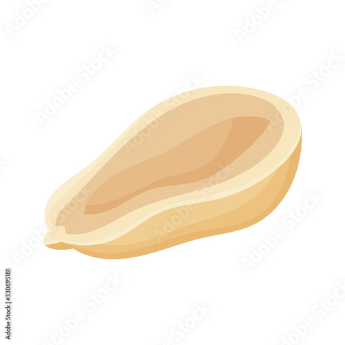 Fresh peanuts closeup. Colorful simple flat cartoon style. Isolated vector illustration.