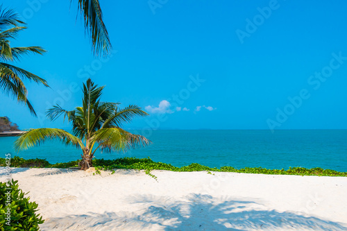 Fototapeta Naklejka Na Ścianę i Meble -  Beautiful tropical nature of beach sea ocean bay around coconut palm tree