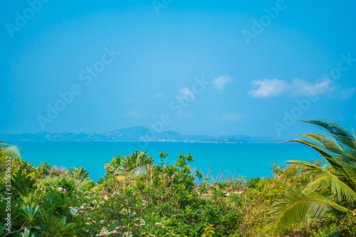 Beautiful tropical nature of beach sea ocean bay around coconut palm tree © siraphol
